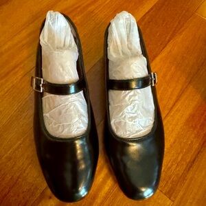 Size 8.5 Never Worn Women's Wexley Mary Jane Ballet Flat by Dr Scholl's